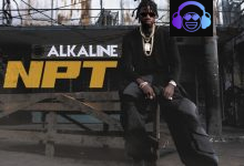 Alkaline NPT album cover